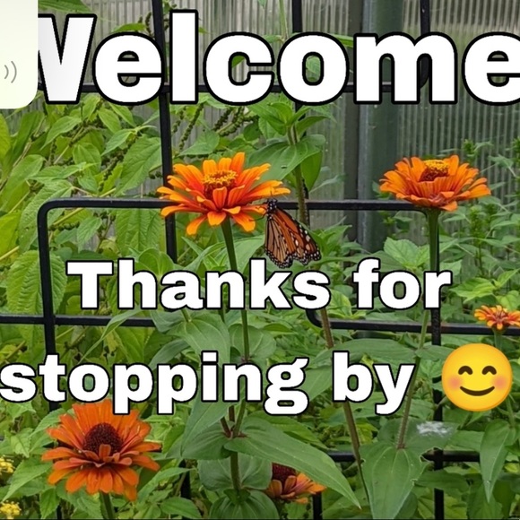 Very pretty top beautiful pink color absolutely gorgeous. - Picture 4 of 4